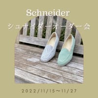 シュナイダーオーダー会