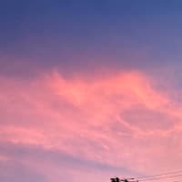 自宅療養