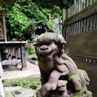 ６月２1日　ダイエット記録