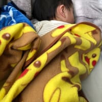次男、26週に入りました。