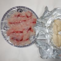　釣魚下処理　イサキ・マダイ・アジ・サバ・ソーダガツオ