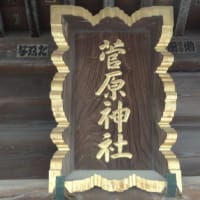 境内にはあまり木が無く、周辺には高い建物も無いので視界一杯に広がります。