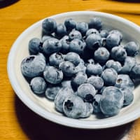 我が家のブルーベリーは