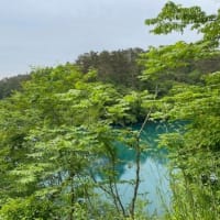 尾瀬・裏磐梯・只見線の旅　-6 　・・・　Mysterious lake “Goshikinuma”