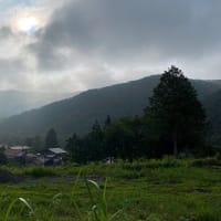 朝は涼しいですが・・・