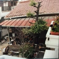 1995.1.17　阪神大震災の記憶