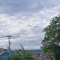アルツGさん的雑想ノート