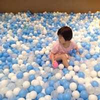 伊都イオンの「スキッズガーデン」で孫大喜び