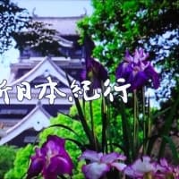 肥後花しょうぶの歴史