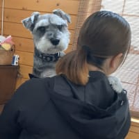 いつもの日常は…特別な日常…