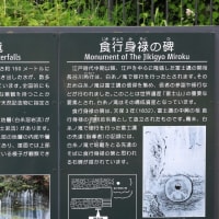 初夏の愛知・静岡の旅（６）富士五湖周遊：白糸の滝