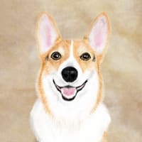 りりぃ