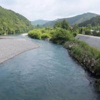 本日の海部川