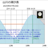 鯵釣り