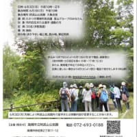 阿武山公民館講座「上の池公園で樹木観察」のお知らせ