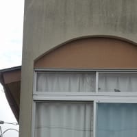 2025-06-26-01