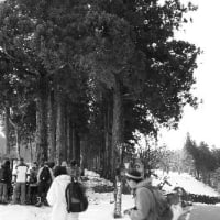 立山寺・櫛形山の雪中散策・・・・澄麗会行事