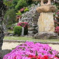 神呪寺の景色