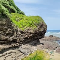 Vol.366 琉球辞令書の「任ズ」と「遷任セシム」②