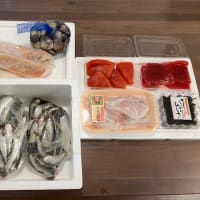 お魚さんがいっぱいﾘﾘ～('◇')ゞ