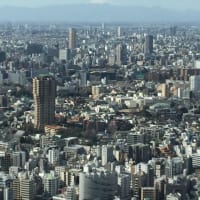 東京タワー 〜トップデッキツアー〜