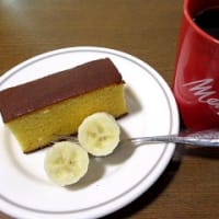 お屋敷を上空から