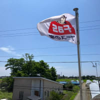 日曜日の北斗市本社