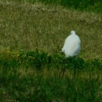 久しぶりの京都府内新PKサービス