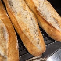 ３年ぶりの話は粉っぽい話から、と言うと勘違いされるのだろうか