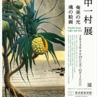 『 奄美の海岸』『奄美の歴史』『奄美の食事』（再）