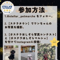 ステラほしぞら写真コンテスト開催🌟