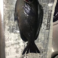 長崎市畝刈釣り道場
