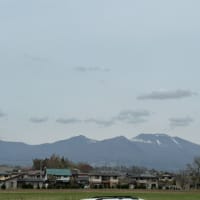 ときどき森へ・・・長野支場でお花見 🌸