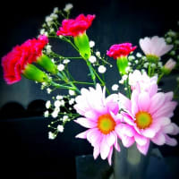 十年経って・・・　　～母の命日～