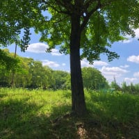 「聖化って⁉️  5月12日」