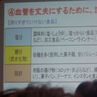血管、若返りのお話