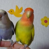 お誕生日おめでとう！