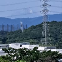 発症から4ヶ月が経ちました