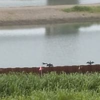 散歩の途中で