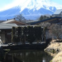 富士山の湧き水「忍野八海」