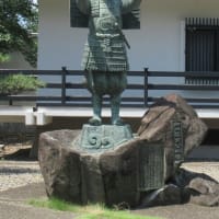 続･百日紅の花盛り・世良田東照宮