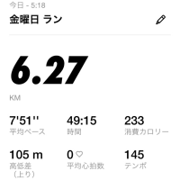 ダイエット48日目　落ち着いてきた