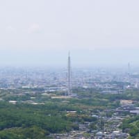 列車で行く山行　海上(ｶｲｼｮ)の森　そして物見山(327m)