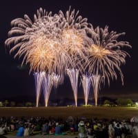 鳴門ｳﾁﾉｳﾐ総合公園の花火