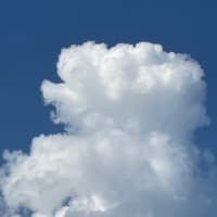 梅雨時と長芋の時
