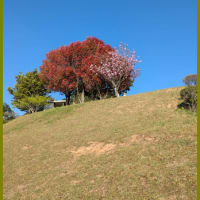 写真の為に・・・