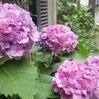 目の前にある幸せでうるおう