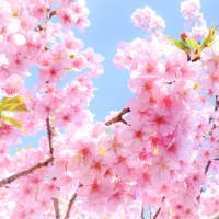 自信をもってお伝えできることがあります。