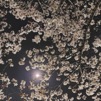 桜会
