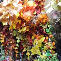 今年も人気ハロウィン装飾 造花ココーフラワー横浜 店舗販売